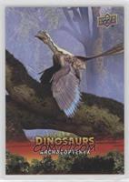 Archaeopteryx