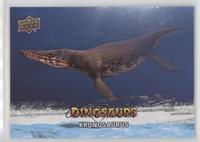 Sea Creatures SP - Kronosaurus