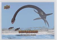 Sea Creatures SP - Elasmosaurus