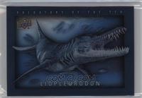 Liopleurodon