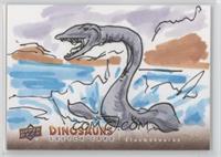 Elasmosaurus #/1