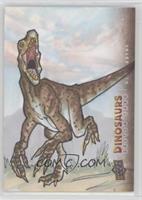 Utahraptor #/1