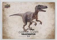 Velociraptor