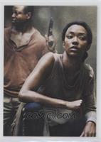 Lawrence Gilliard Jr. as Bob Stookey, Sonequa Martin-Green as Sasha Williams