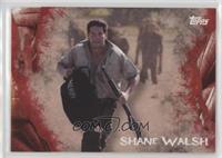 Shane Walsh