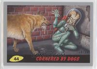 Cornered by Dogs #/10