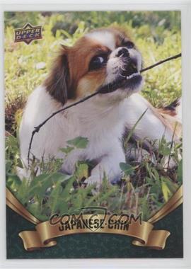 2018 Upper Deck Canine Collection - [Base] #319 - Puppy Variant - Japanese Chin