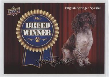 2018 Upper Deck Canine Collection - Breed Winners Achievements #BW-6 - English Springer Spaniel