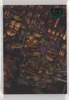 Volume One - Issue 50 (Kevin Eastman & Peter Laird) #/99