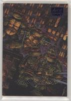 Volume One - Issue 50 (Kevin Eastman & Peter Laird) #/50