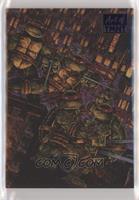 Volume One - Issue 50 (Kevin Eastman & Peter Laird) #/50