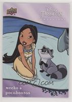 Companions - Meeko & Pocahontas