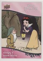 Companions - Sleepy & Snow White