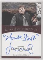 Sam Coleman as Young Hodor (