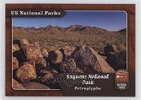 Saguaro - Signal Hill Petroglyphs