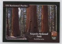 Sequoia - Park Overview