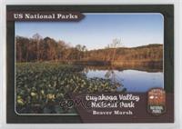Cuyahoga Valley - Beaver Marsh