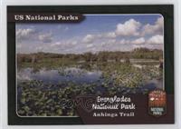 Everglades - Anhinga Trail