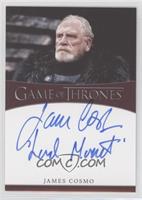 James Cosmo as Lord Commander Mormont (