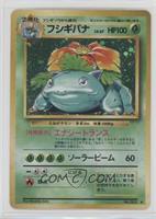 Holo - Venusaur