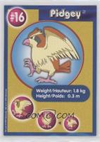 Pidgey (Collectible Movie Scene #2)