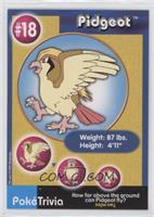 Pidgeot (Collectable Movie Scene #2)