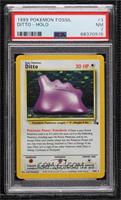 Holo - Ditto [PSA 7 NM]