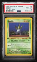 Oddish [PSA 8 NM‑MT]