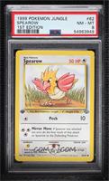 Spearow [PSA 8 NM‑MT]