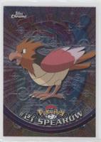 Spearow