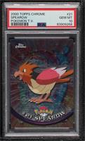 Spearow [PSA 10 GEM MT]