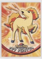 Ponyta