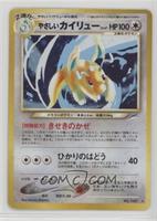 Holo - Light Dragonite [EX to NM]