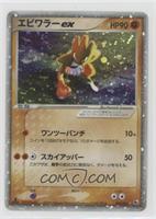 Hitmonchan ex (Holo)