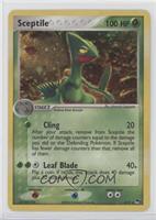 Sceptile (Holo)