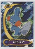 Mudkip