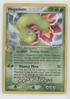 Holo - Meganium