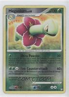 Meganium [Noted]