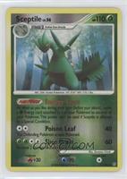 Sceptile [Noted]