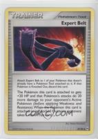 Expert Belt