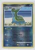 Gastrodon East Sea [Noted]