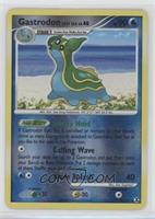 Gastrodon East Sea