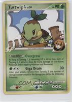 Turtwig GL