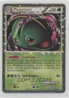 Meganium [EX to NM]