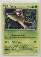 Snivy