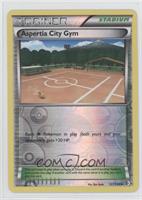 Aspertia City Gym