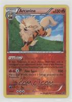 Arcanine