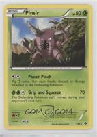 Pinsir