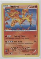 Holo - Moltres