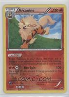 Arcanine [Noted]